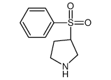 (3R)-3-(benzenesulfonyl)pyrrolidine CAS:1268521-39-6 第1张