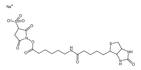 Sulfo-NHS-LC-Biotin sodium