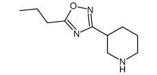 3-piperidin-3-yl-5-propyl-1,2,4-oxadiazole