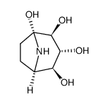 calystegin B2