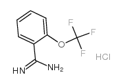 2-(Trifluoromethoxy)benzamidine hydrochloride CAS:127979-76-4 第1张