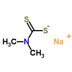 Sodium Dimethyldithiocarbamate CAS:128-04-1 manufacturer price 第1张