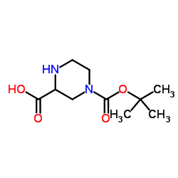 N-4-Boc-2-piperazinecarboxylic Acid CAS:128019-59-0 manufacturer price 第1张