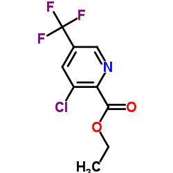Ethyl 3-chloro-5-(trifluoromethyl)picolinate Cas:128073-16-5 第1张