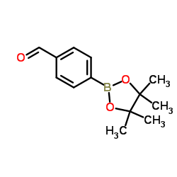 4-Formylphenylboronic acid pinacol ester