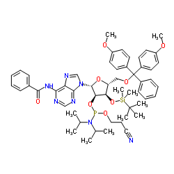 N-Benzoyl-5'-O-[bis(4-methoxyphenyl)(phenyl)methyl]-2'-O-[(2-cyanoethoxy)(diisopropylamino)phosphino]-3'-O-[dimethyl(2-methyl-2-propanyl)silyl]adenosine