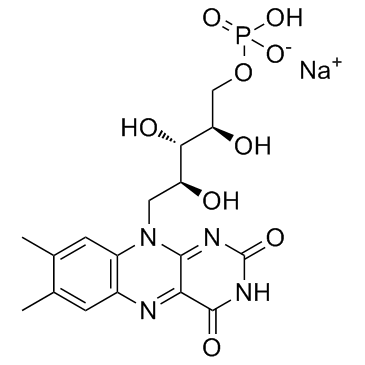 Riboflavin 5'-Monophosphate Sodium Salt CAS:130-40-5 manufacturer price 第1张