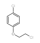 1-Chloro-4-(2-chloroethoxy)benzene CAS:13001-28-0 第1张