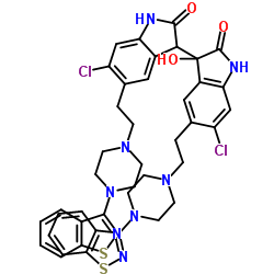 81DVJ4GWP5