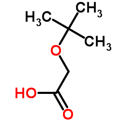 tert-Butoxyacetic acid CAS:13211-32-0 第1张