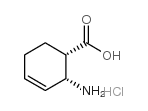 (1s,2r)-(-)-2-aminocyclohex-3-enecarboxylic acid hydrochloride