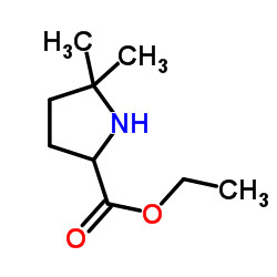 ethyl 5,5-dimethylpyrrolidine-2-carboxylate