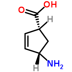 (1R,4S)-4-Aminocyclopent-2-enecarboxylic Acid CAS:134003-04-6 manufacturer price 第1张