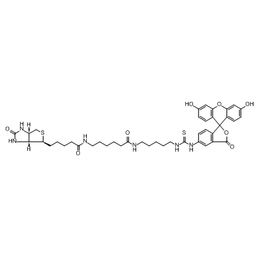 Fluorescein Biotin