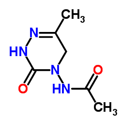 4-Acetylamino-6-methyl-3-oxo-2,3,4,5-tetrahydro-1,2,4-triazine CAS:136738-23-3 manufacturer price 第1张