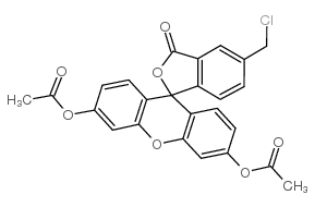 5-chloromethylfluorescein CAS:136832-63-8 第1张