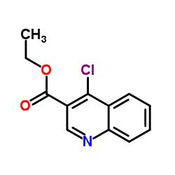 Ethyl 4-chloro-3-quinolinecarboxylate