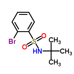 2-Bromo-N-(2-methyl-2-propanyl)benzenesulfonamide