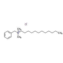 dodecyl dimethyl benzyl ammonium chloride (ddbac) CAS:139-07-1 manufacturer price 第1张