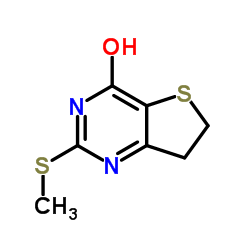 2-methylsulfanyl-6,7-dihydro-1H-thieno[3,2-d]pyrimidin-4-one