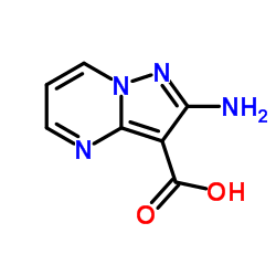 2-aminopyrazolo[1,5-a]pyrimidine-3-carboxylic Acid Cas:1394003-86-1 第1张
