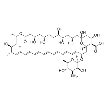 Amphotericin B CAS:1397-89-3 manufacturer price 第1张