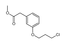 methyl 2-[3-(3-chloropropoxy)phenyl]acetate