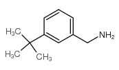 (3-tert-butylphenyl)methanamine