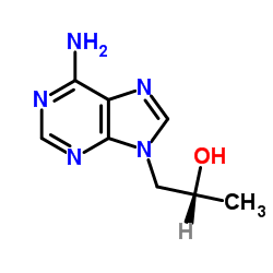 (R)-(+)-9-(2-Hydroxypropyl)adenine CAS:14047-28-0 manufacturer price 第1张