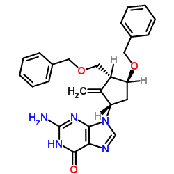 2-Amino-1,9-dihydro-9-[(1S,3R,4S)-4-(benzyloxy)-3-(benzyloxymethyl)-2-methylenecyclopentyl]-6H-purin-6-one CAS:142217-81-0 manufacturer price 第1张