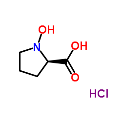 trans-4-Hydroxy-D-proline hydrochloride