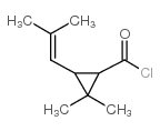 Chrysanthemoyl chloride CAS:14297-81-5 第1张