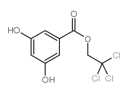 α-Resorcylic Acid 2,2,2-Trichloroethyl Ester