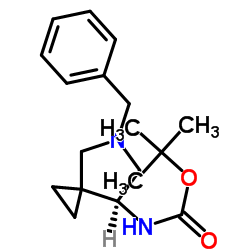 Tert-butyl N-[(7S)-5-benzyl-5-azaspiro[2.4]heptan-7-yl]carbamate Cas:144282-37-1 第1张