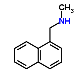 1-Methyl-aminomethyl Naphthalene CAS:14489-75-9 manufacturer price 第1张