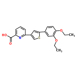 6-[2-(3,4-diethoxypheny)-1,3-thiazol-4-yl]pyridine-2-carboxylic acid