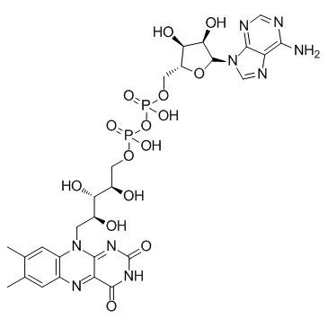 Flavin Adenine Dinucleotide Cas:146-14-5 第1张