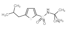 N-tert-butyl-5-(2-methylpropyl)thiophene-2-sulfonamide