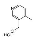 3-(chloromethyl)-4-methylpyridine,hydrochloride CAS:1465-19-6 第1张