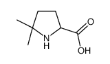 5,5-dimethylpyrrolidine-2-carboxylic acid CAS:146954-59-8 第1张