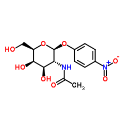 4-Nitrophenyl N-acetyl-β-D-galactosaminide