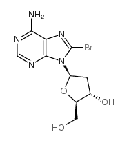 8-Bromo-2'-deoxyadenosine