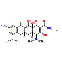 9-Amino Minocycline Hydrochloride Cas:149934-21-4 第1张