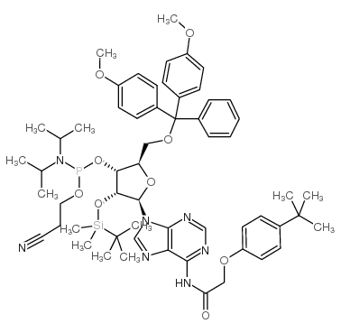 DMT-2′O-TBDMS-rA(tac) amidite CAS:149989-64-0 第1张