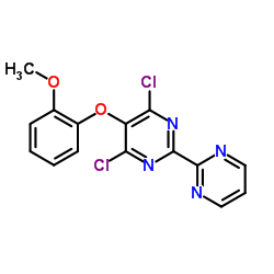 4,6-Dichloro-5-(2-methoxyphenoxy)-2,2-bipyrimidine