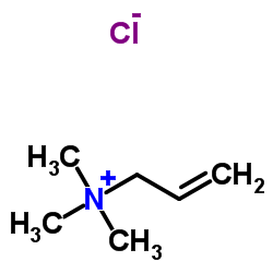 allyltrimethylammonium chloride CAS:1516-27-4 manufacturer price 第1张