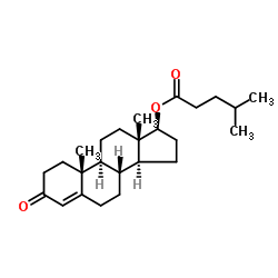 Testosterone Isocaproate CAS:15262-86-9 manufacturer price 第1张