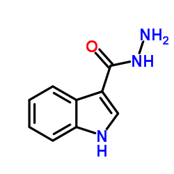 1H-Indole-3-carbohydrazide CAS:15317-58-5 第1张