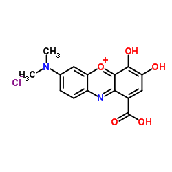 Gallocyanine