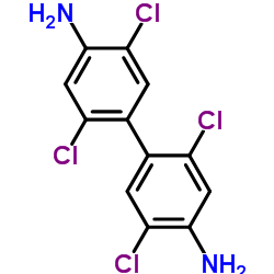 2,2′,5,5′-tetrachlorobenzidine Cas:15721-02-5 第1张